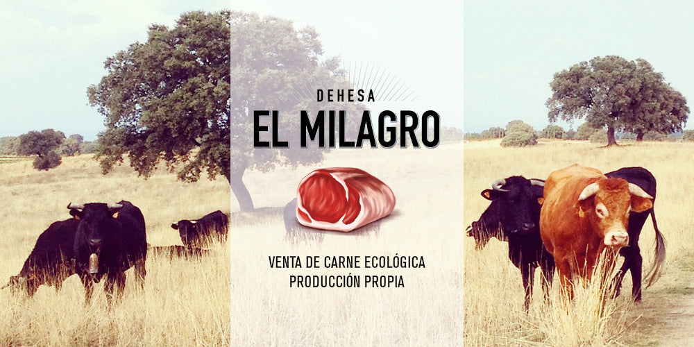 Venta de Carne Ecológica de Producción Propia