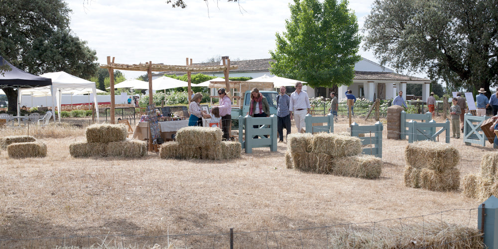 Feria Jardines del Campo, una iniciativa muy original