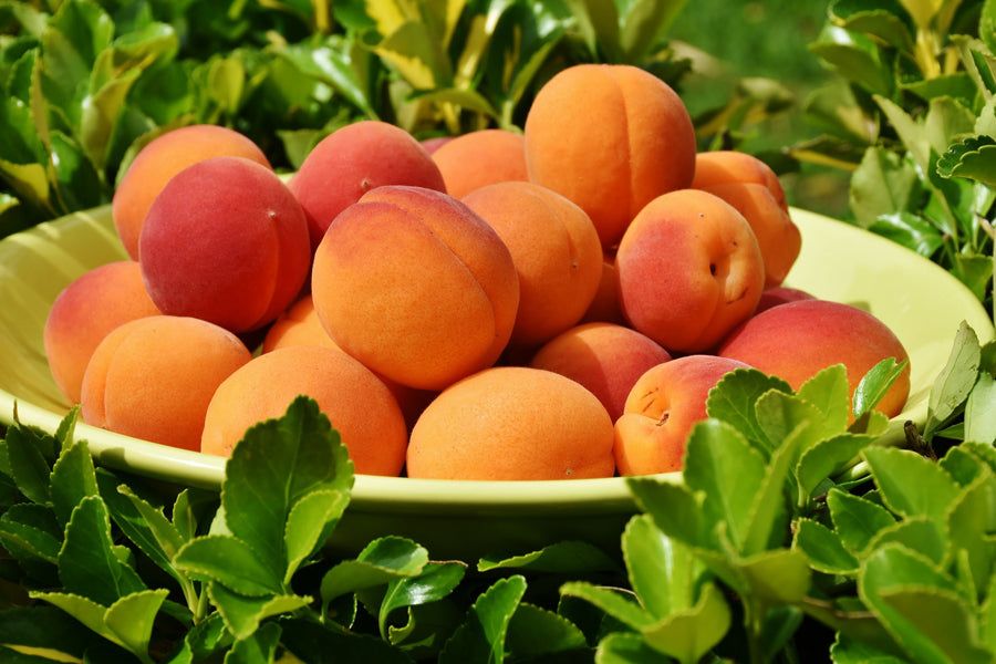 ¿Quieres mantener tu fruta con un aspecto envidiable?