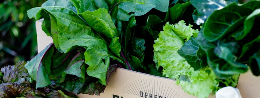 La ensalada de espinacas de Maritza