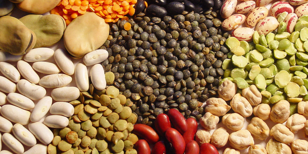 Los beneficios del cultivo de leguminosas