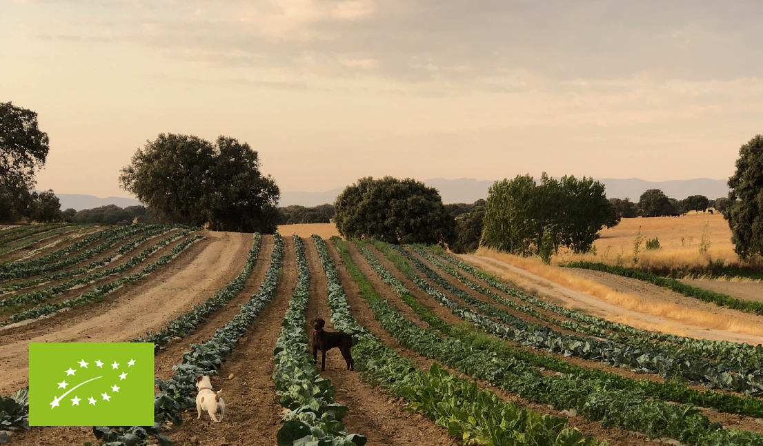 Dehesa El Milagro / Eurohoja