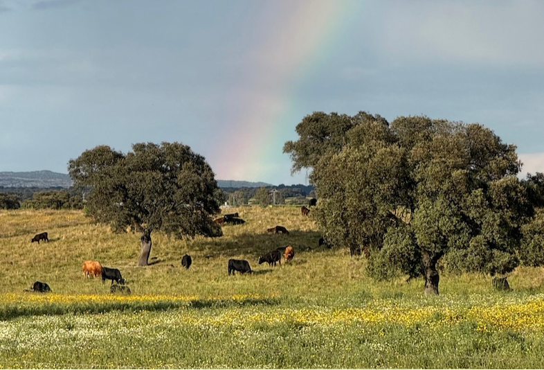 Cómo identificar productos realmente ecológicos en el mercado