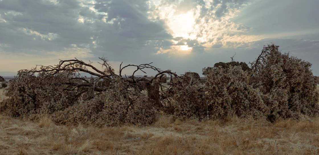 El verano según Macarena Gross
