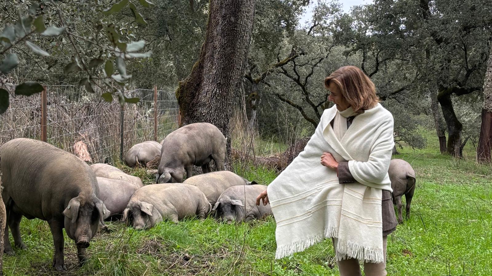 El Proceso Tradicional y Artesanal de nuestro Jamón de Bellota: Salazón, Curación, Cala.