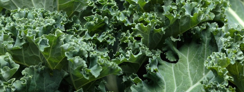 propiedades kale