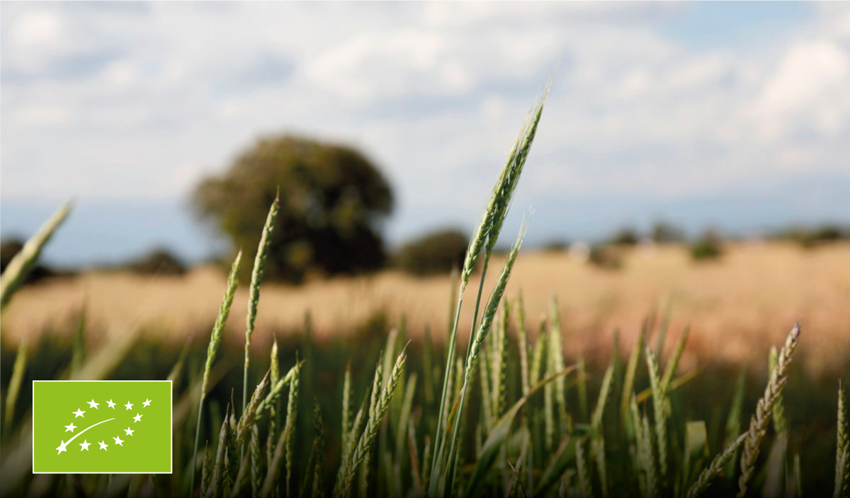 Certificación Ecológica · La Eurohoja