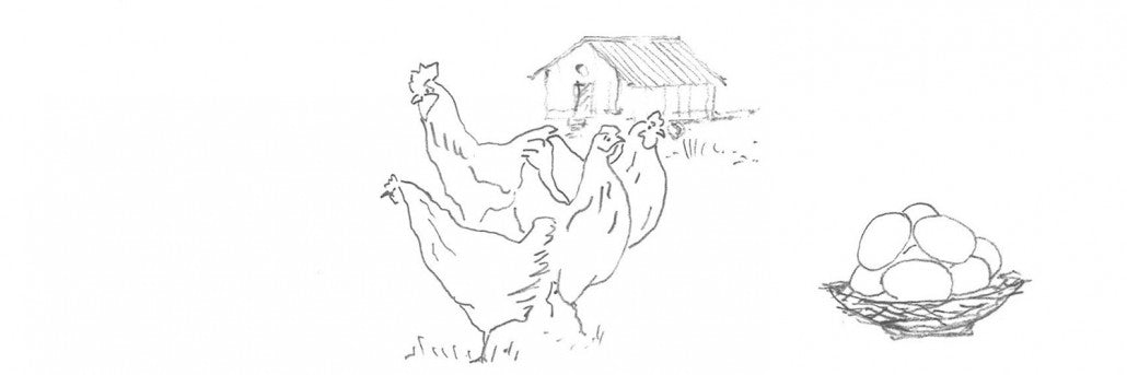 Gallinas del Campo y Sistema de Gallinero Portátil