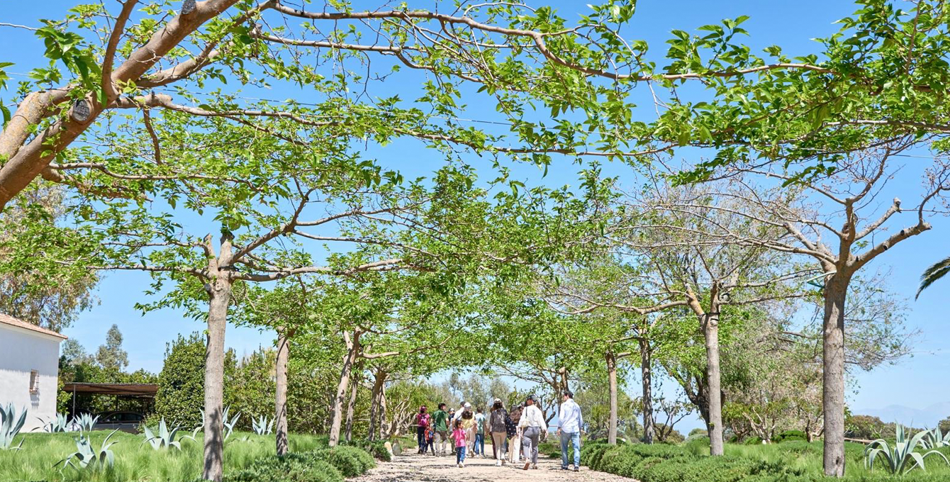 Día en la Granja | Sábado 11 de abril 2026