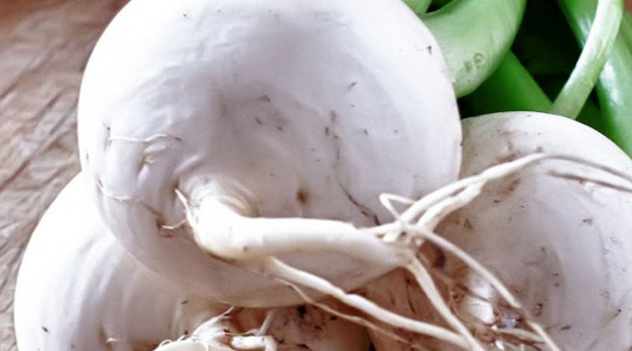 Cuatro Recetas para los Tristes Nabos