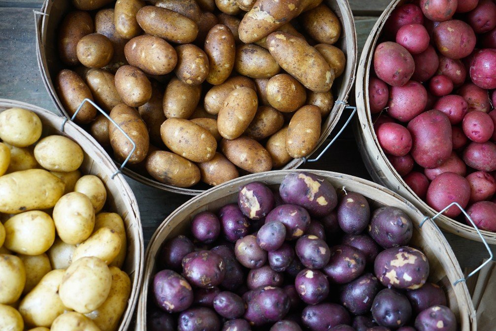 tipos de patatas en España