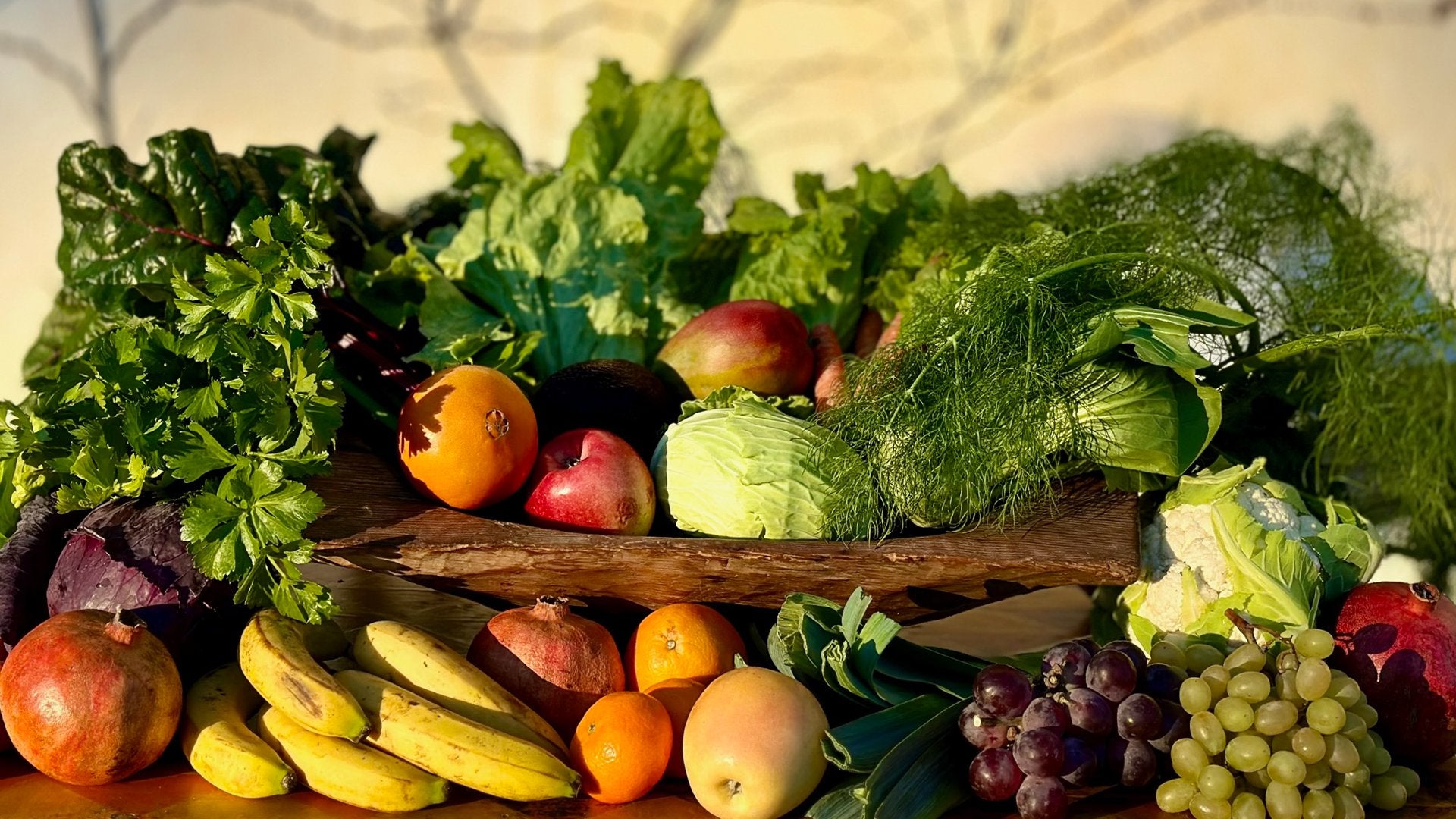 Frutas y verduras ecológicas
