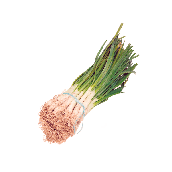 Calçots manojo ECO