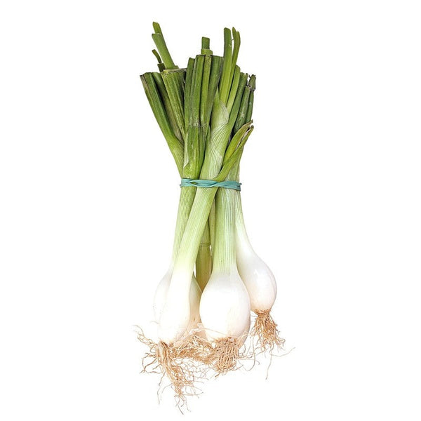 comprar cebolletas ecologicas