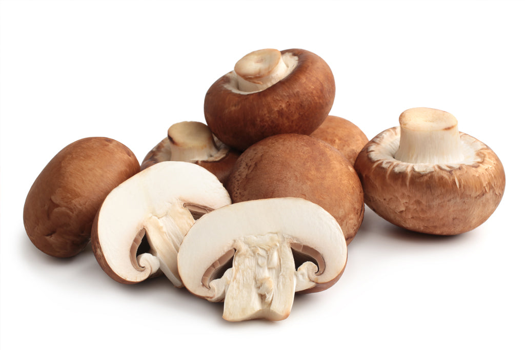 comprar champiñones ecologicos