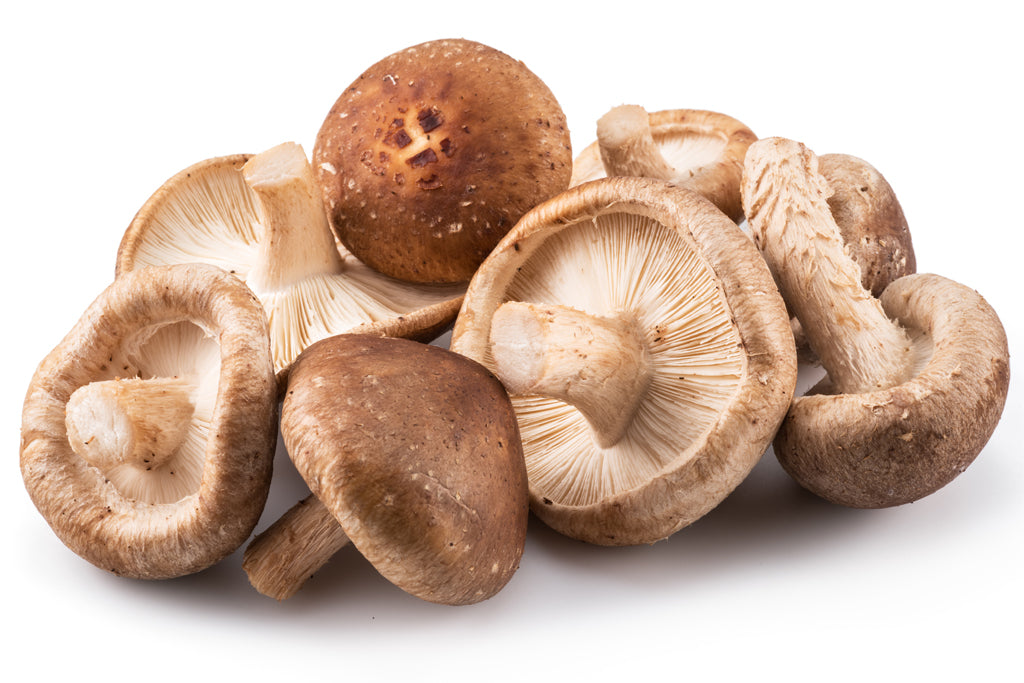 comprar setas shiitake ecologicas