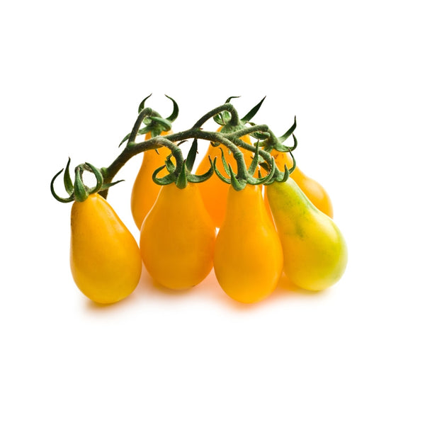 tomate cherry amarillo ecológico
