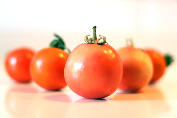 Tomate de colgar ecológico 1kg